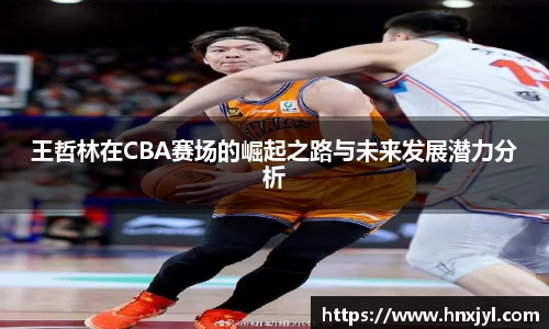王哲林在CBA赛场的崛起之路与未来发展潜力分析